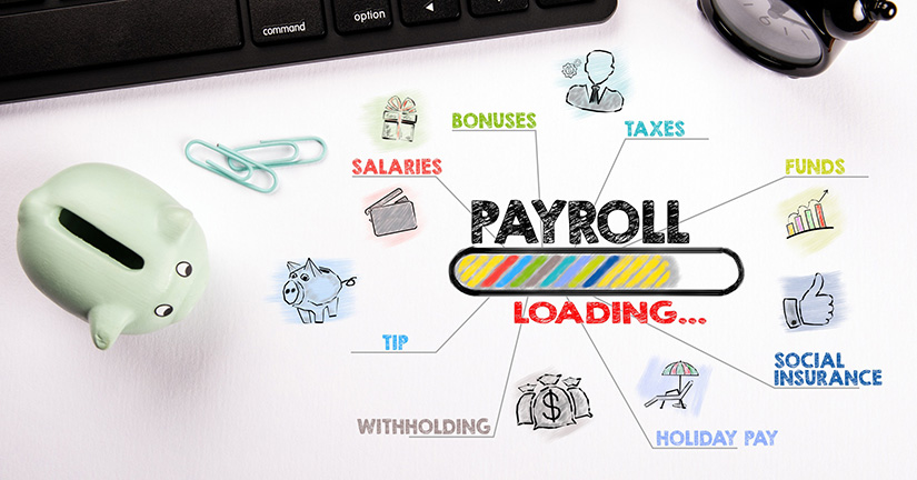 Payroll Service Options for My Business